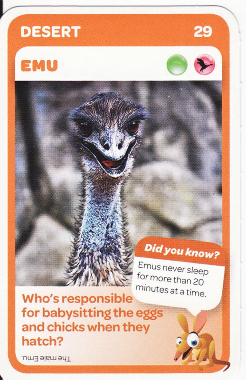 Taronga Zoo Woolworths Aussie Animal Card #29 Emu 